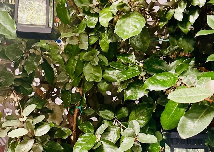 Mood's Blq Διαμέρισμα *