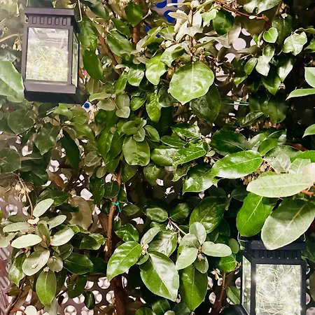 Mood's Blq Appartement *